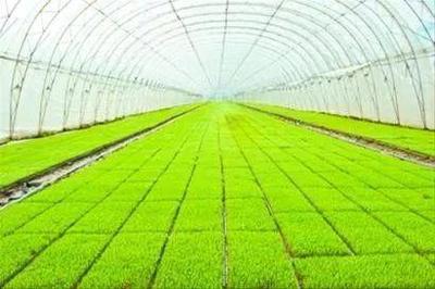 一文讀懂智慧農業 行業機會、發展模式、場景應用與未來路線