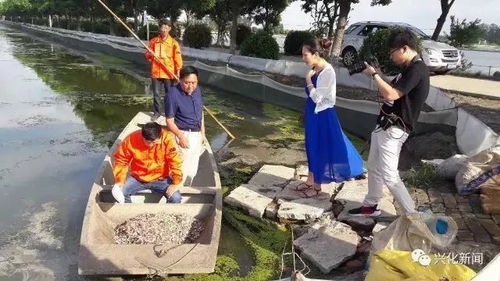 從央視到國家農(nóng)業(yè)機構點贊 通威魚、海大魚、白蕉海鱸、興化大閘蟹，誰更勝一籌？