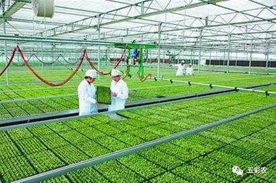 從20個中央一號文件看農村改革四十年 農業生產經營的演變與未來